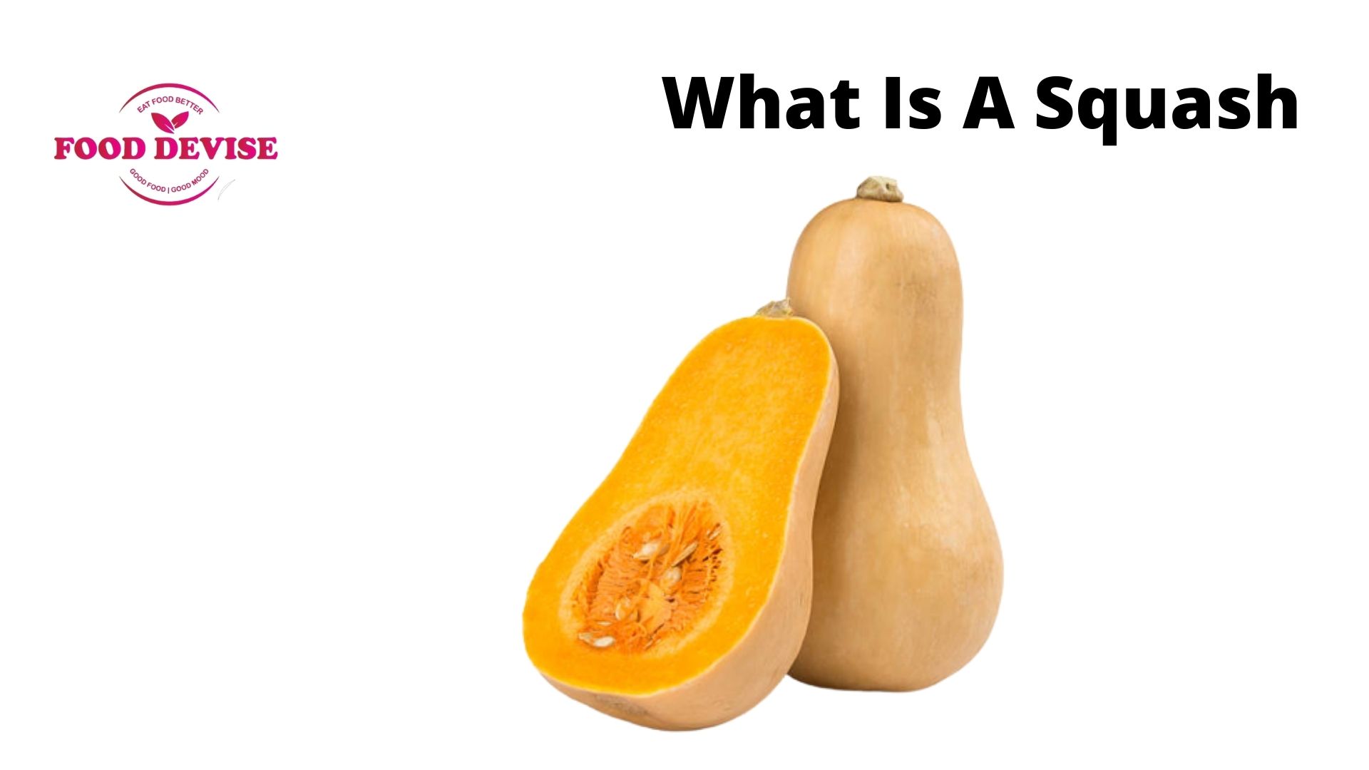 What Is A Squash