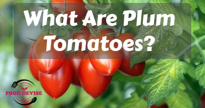 What Are Plum Tomatoes