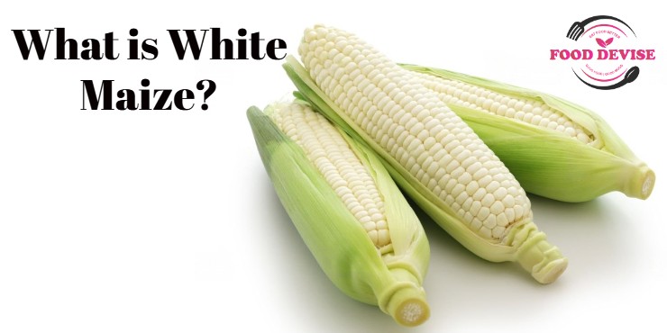 What is White Maize