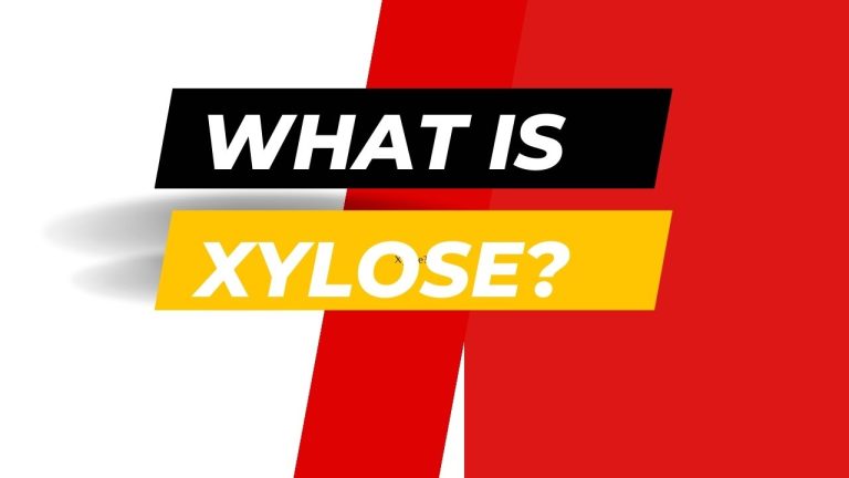 What Is Xylose